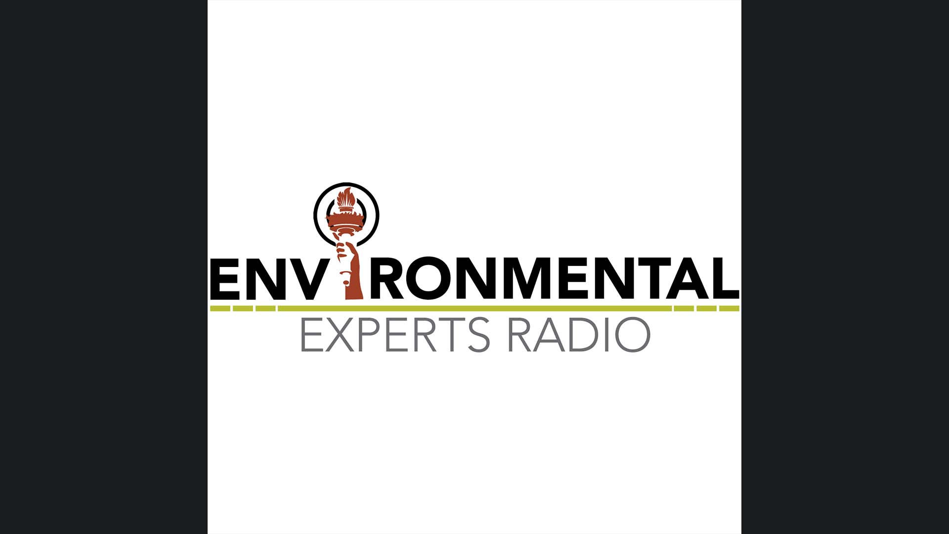 Environmental Experts