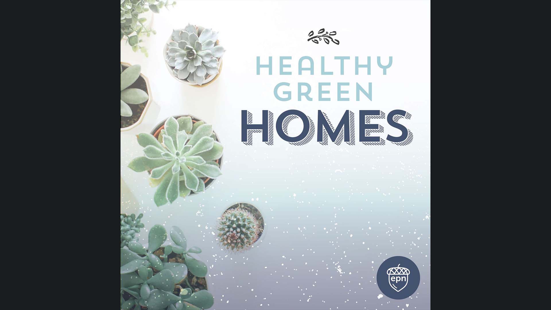 Healthy Green Homes