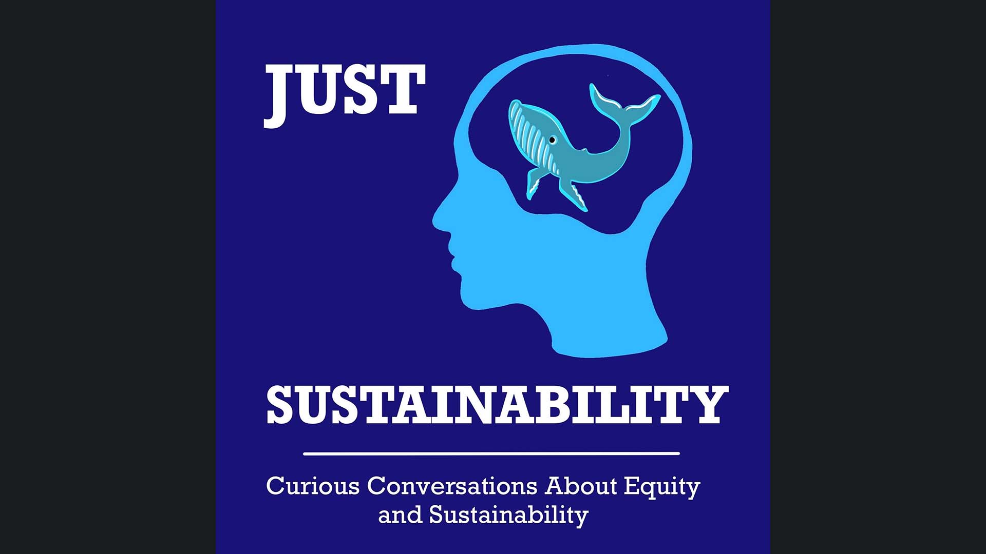 Just Sustainability