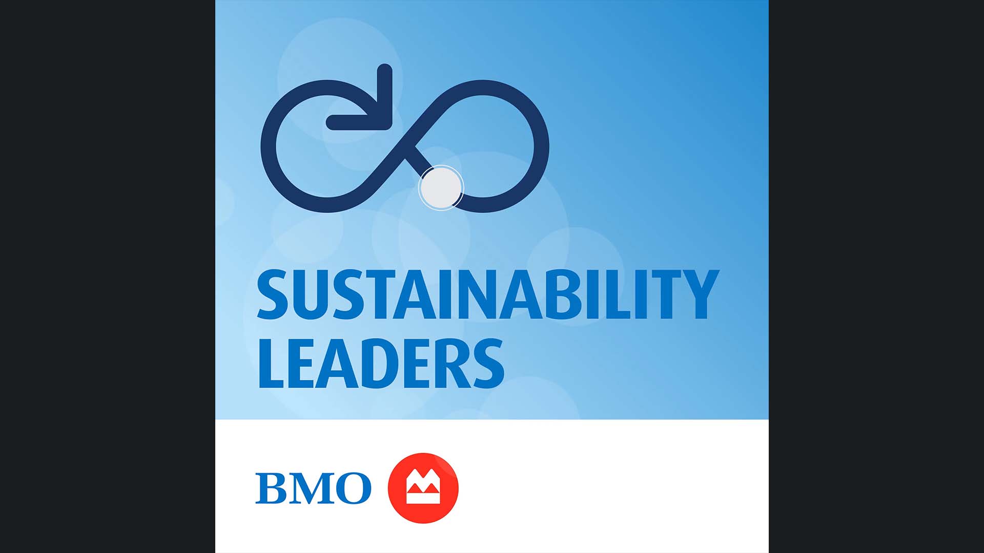 Sustainability Leaders